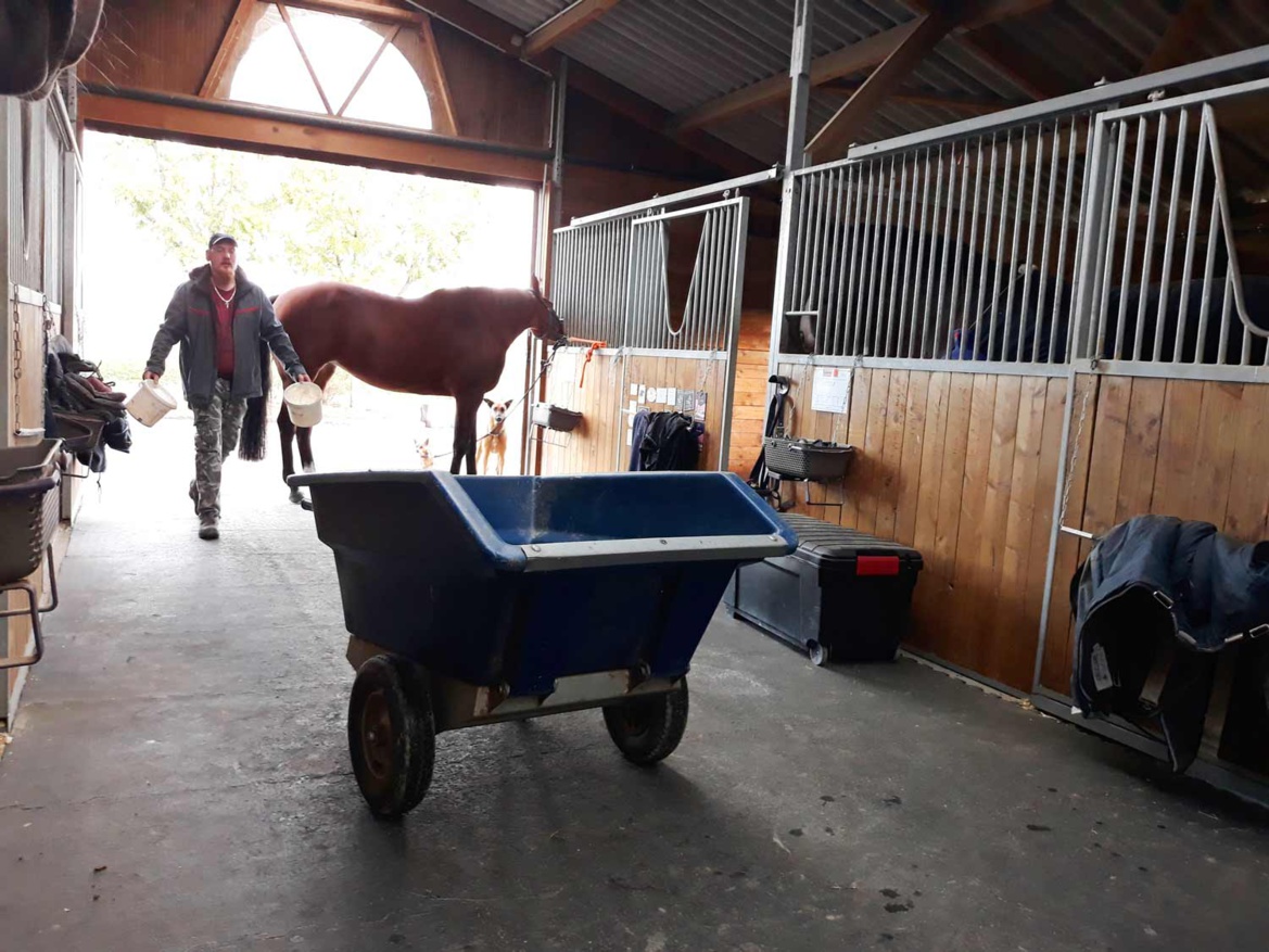 Lunch time aux Écuries du Bois Clos : distribution de nourriture pour les chevaux dans notre centre équestre dans le Pays de Gex 